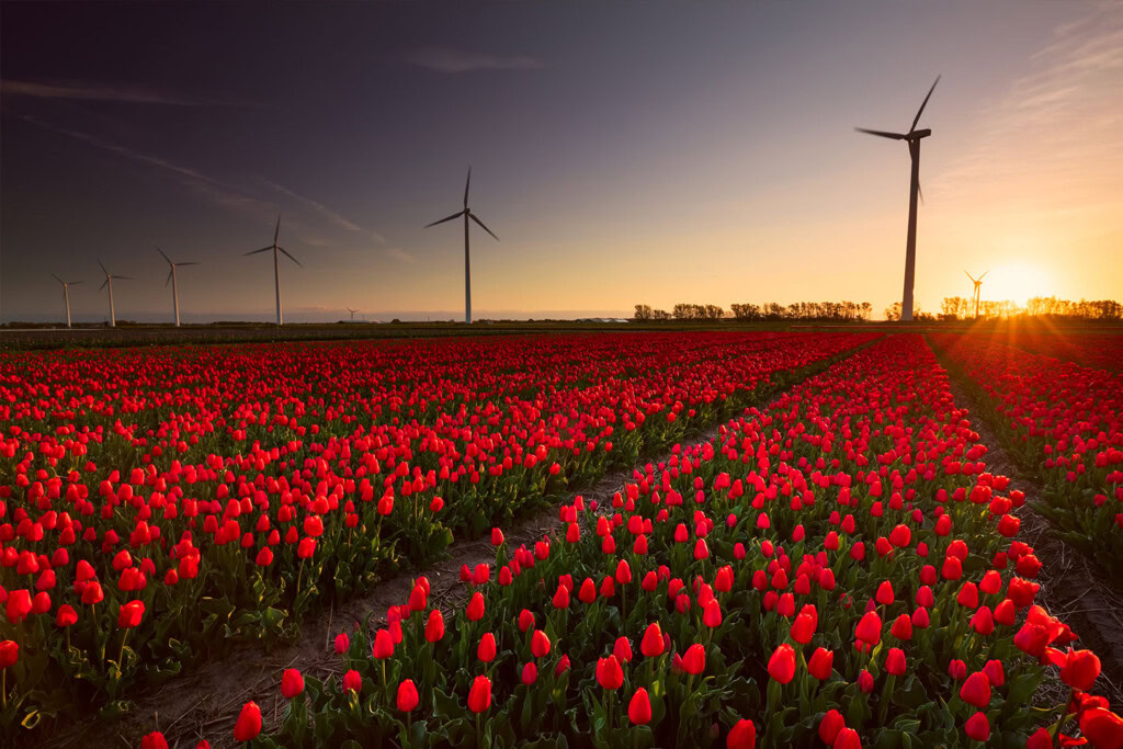 pret pe kilowatt restart energy