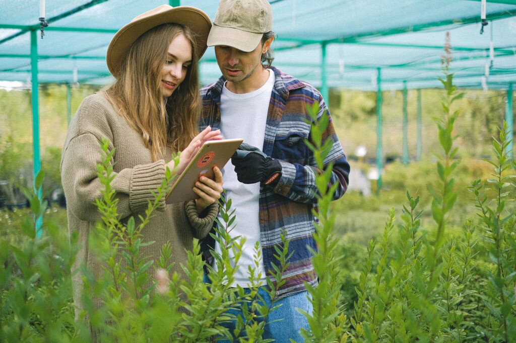 racordarea la reteaua de energie electrica