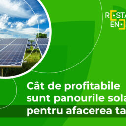 Cât de profitabile sunt panourile solare pentru afacerea ta?