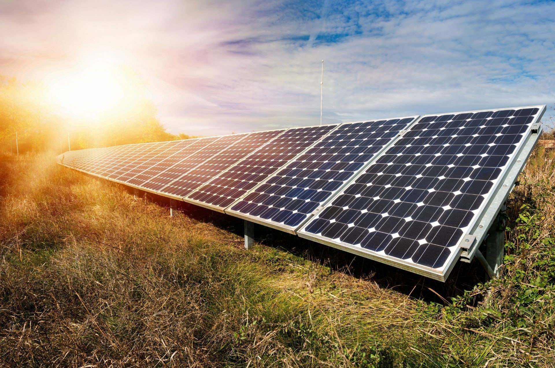 Cât de profitabile sunt panourile solare pentru afacerea ta?