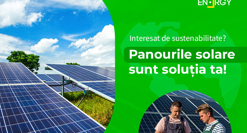 Interesat de sustenabilitate? Panourile solare sunt solutia ta!