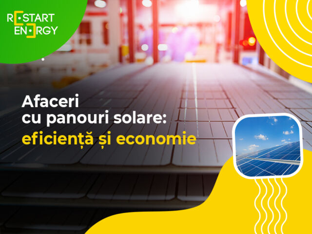 Afaceri cu panouri solare: eficiență și economie