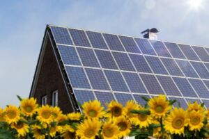 Energie solară sustenabilă – 5 pași pentru un mediu curat
