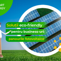 Soluții eco-friendly pentru business-uri: panourile fotovoltaice