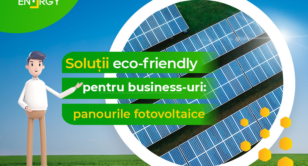 Soluții eco-friendly pentru business-uri: panourile fotovoltaice