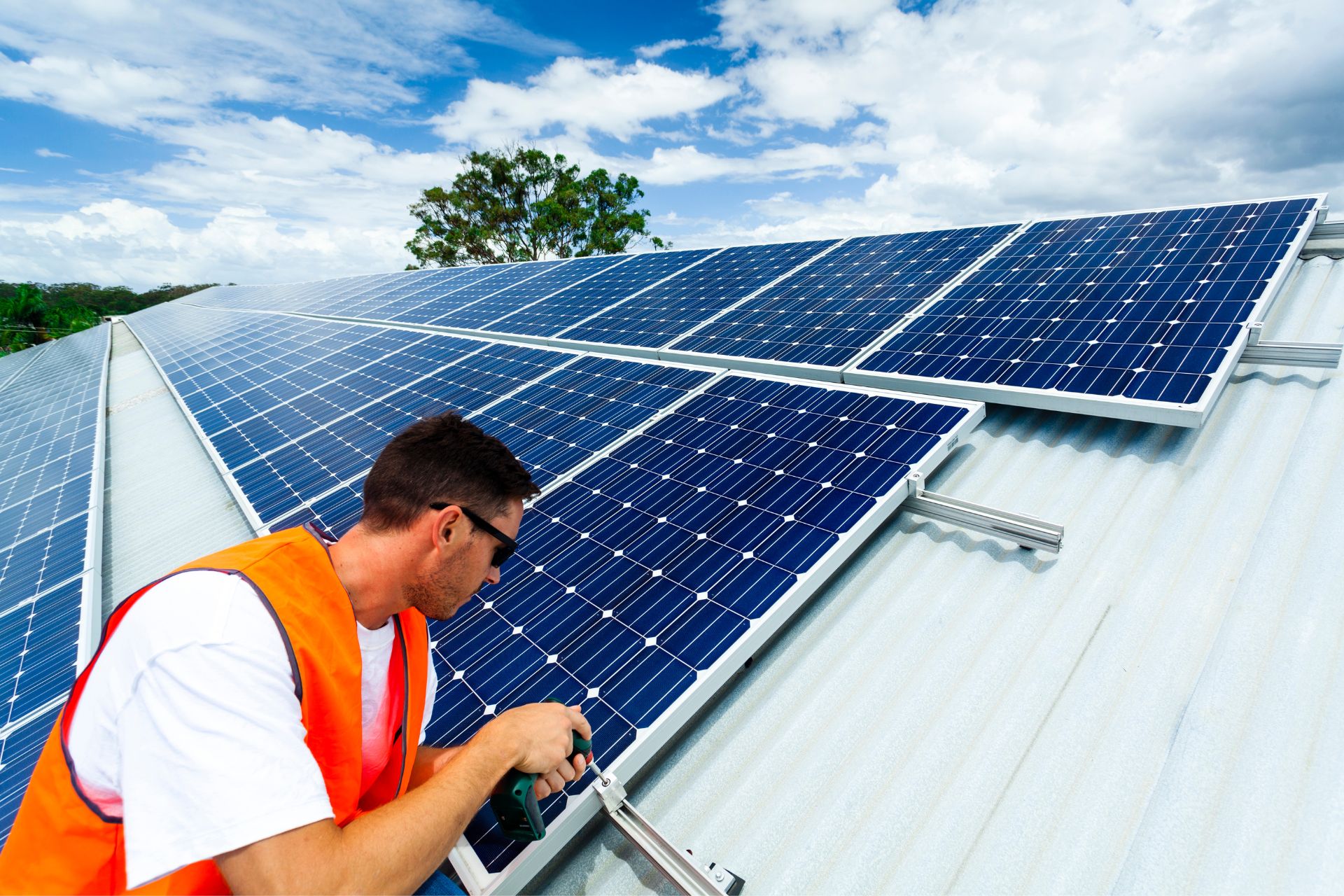 Afaceri de succes cu energie solară regenerabilă