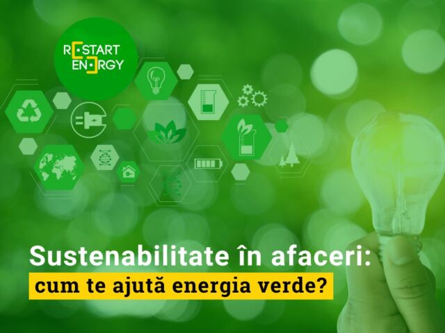 Sustenabilitate în afaceri: cum te ajută energia verde?