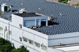 Energia solară în 2022: Investește în afacerea ta!