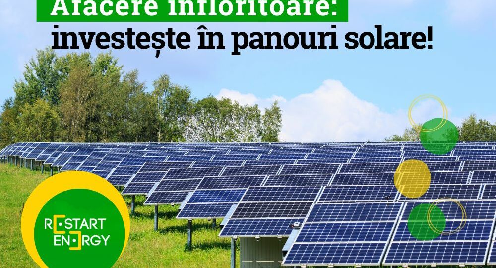 afacere-infloritoare-inevesteste-in-panouri-solare