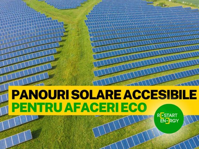 panouri-solare-accesibile-pentru-afaceri-eco