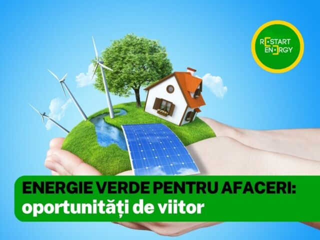 energie-verde-pentru-afaceri-oportunitati-de-viitor