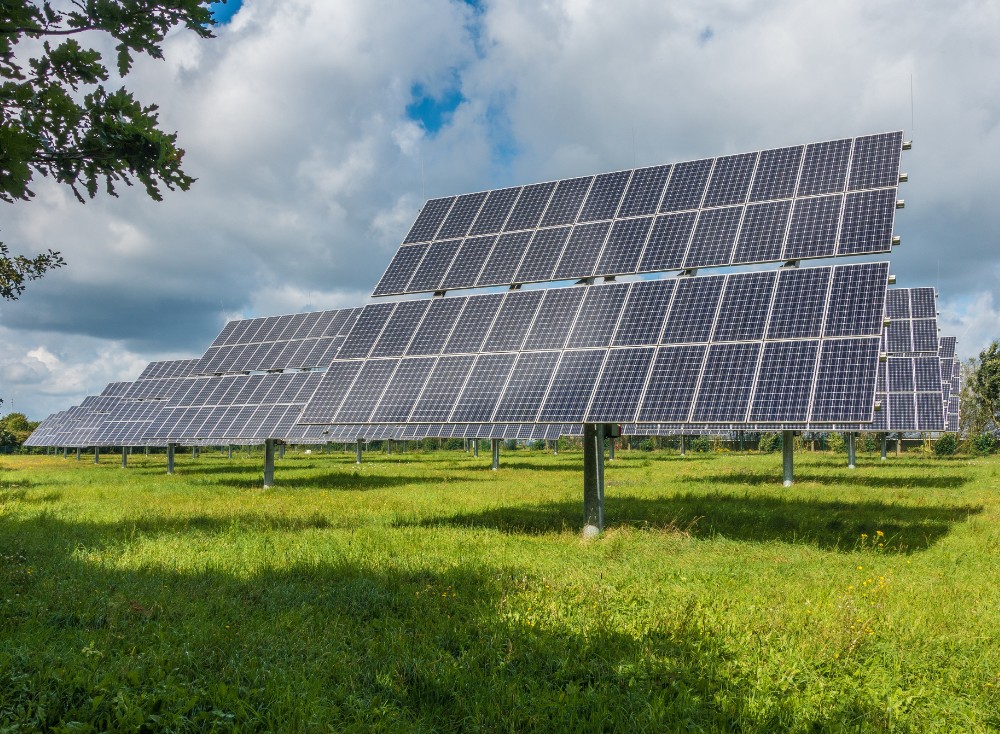 Panouri fotovoltaice montate la sol