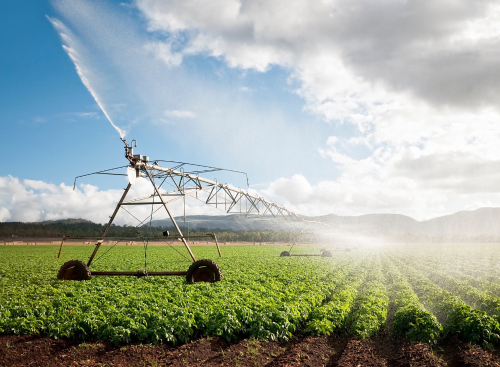 Agricultura fotovoltaică